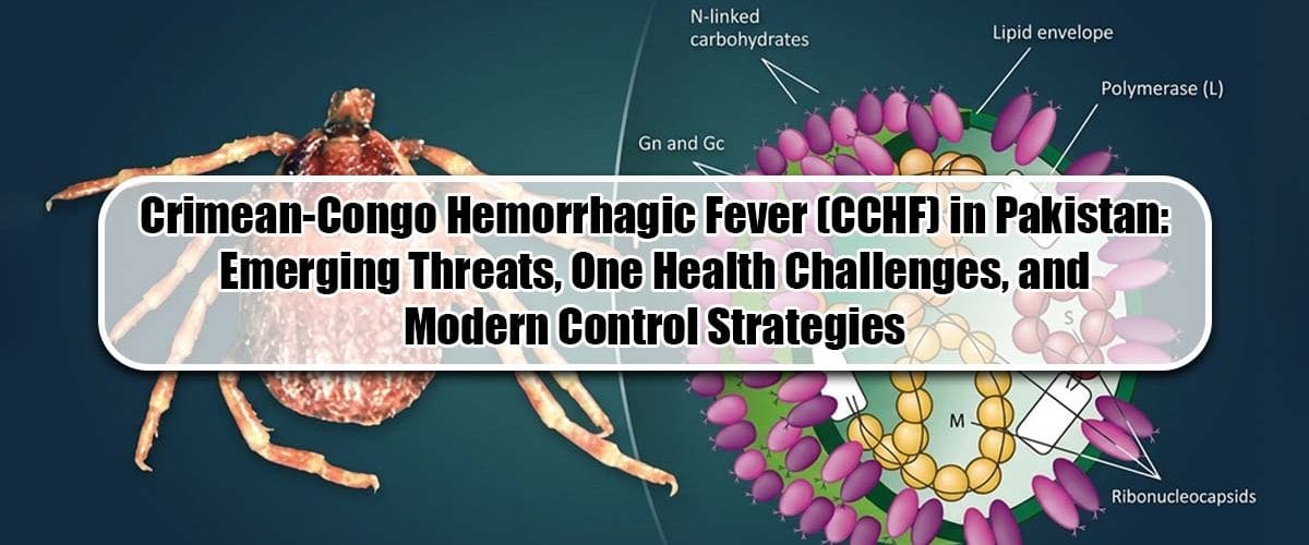 Crimean-Congo Hemorrhagic Fever is a severe emerging tick-borne zoonotic disease caused by the Crimean-Congo Hemorrhagic Fever Virus. The disease is endemic in Pakistan and several regions of Asia, Africa, the Middle East, and Eastern Europe